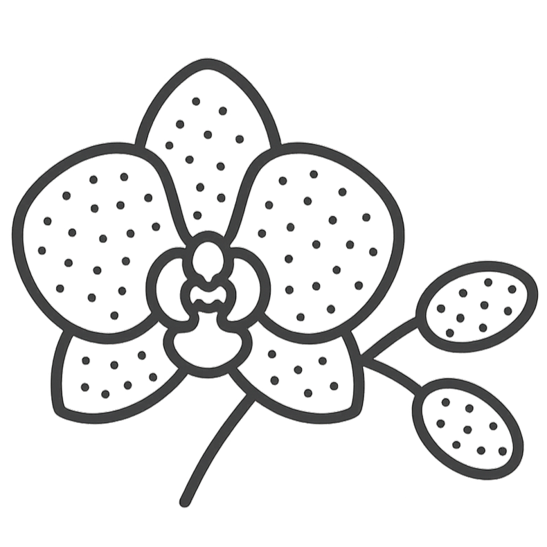 Orchidee Icon