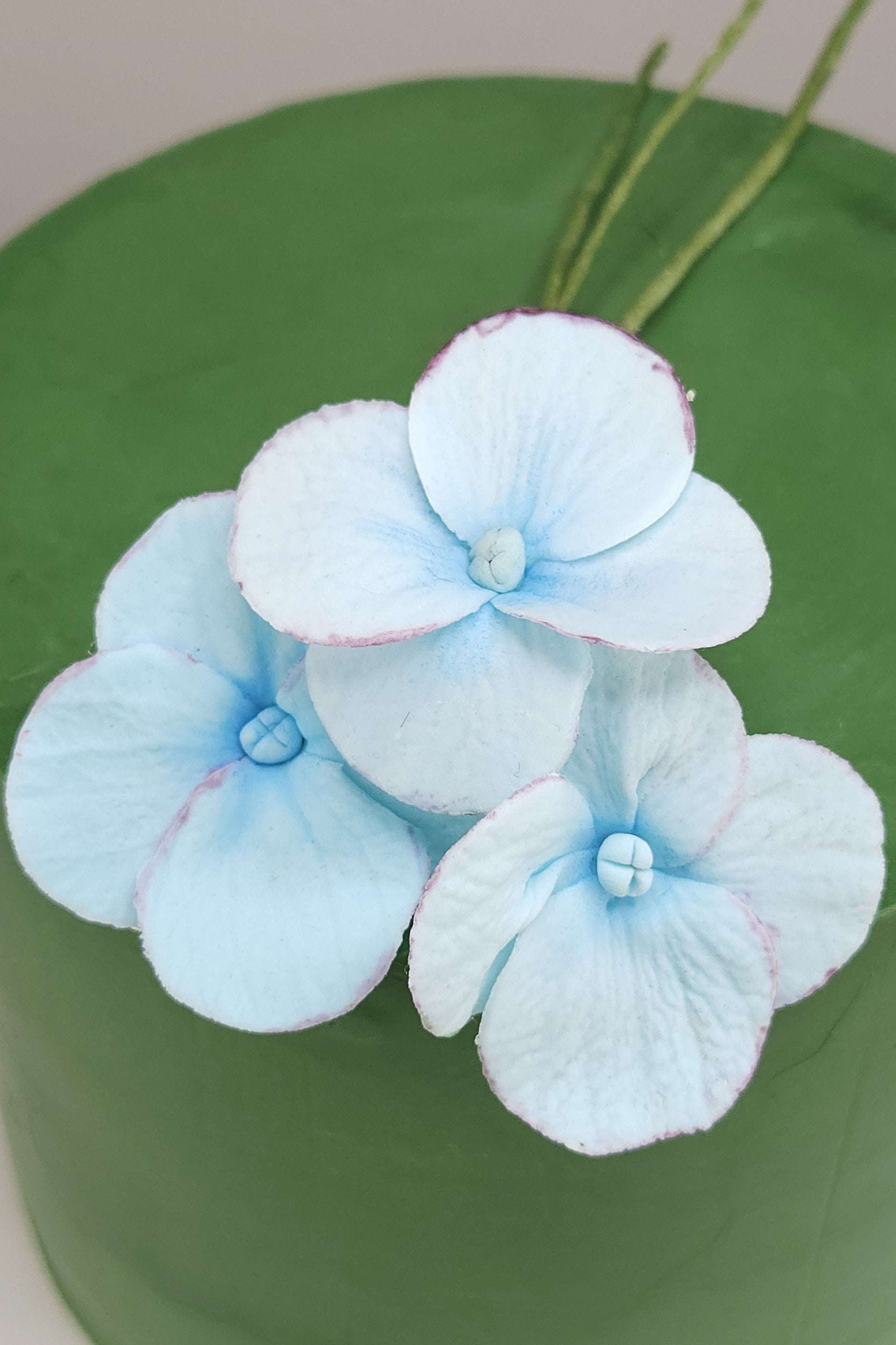 Detailansicht der essbaren Hortensienblüten aus Zucker-Blütenpaste auf grün überzogener Torte - perfekte Wahl für stilvolle Feiern.