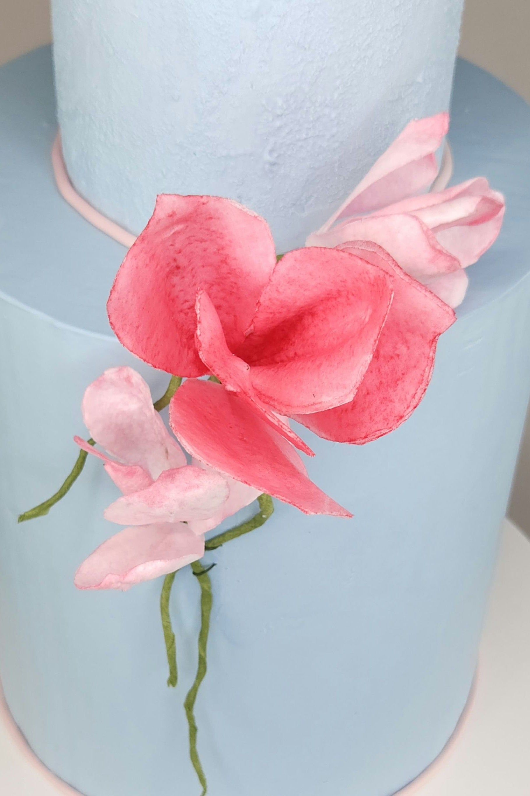 Detailaufnahme einer rosa Magnolienblüte aus essbarem Papier auf einer mit Ganache überzogenen Torte – kunstvoll handgemacht von Berliner Konditormeisterin.