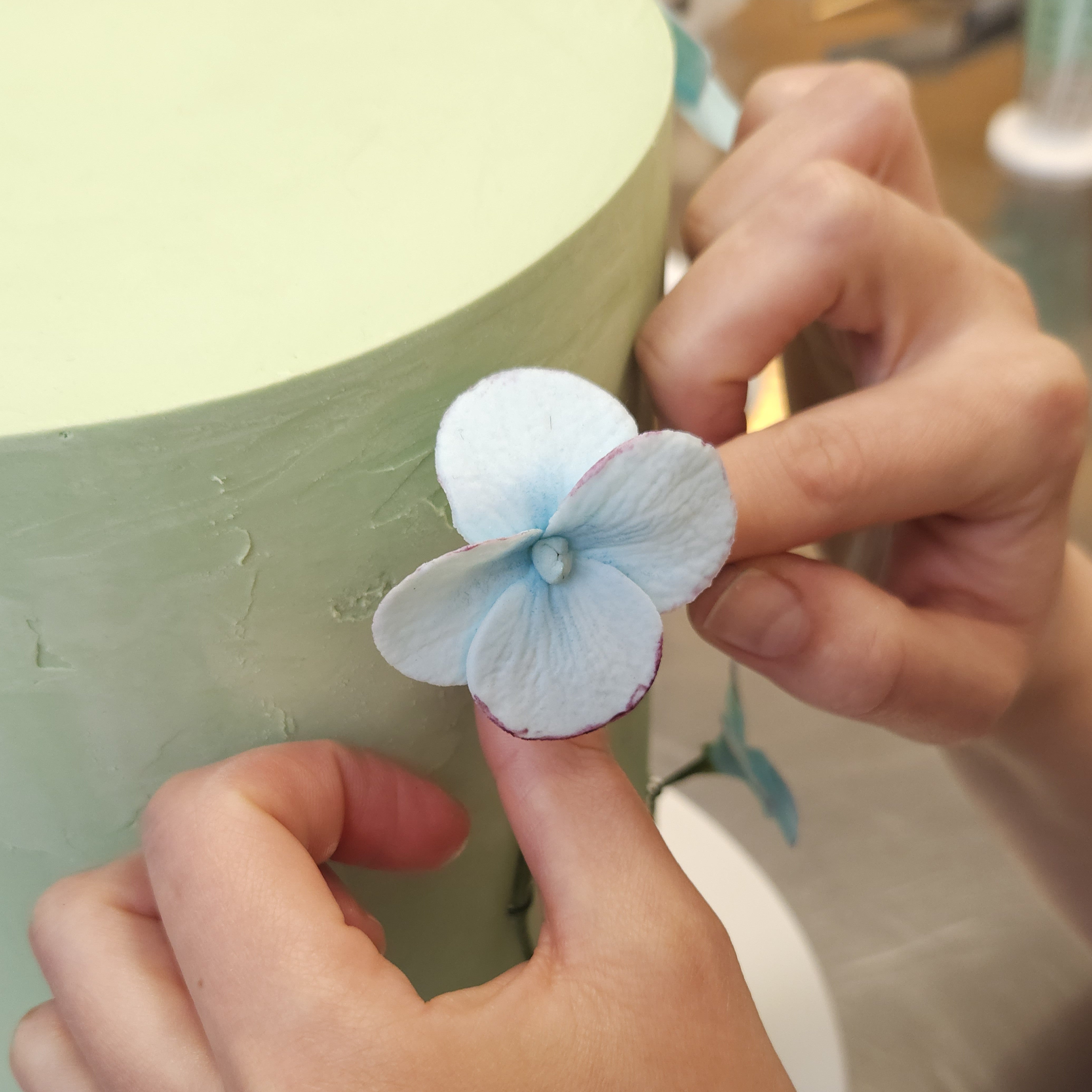 Hand bringt hellblaue Zucker-Hortensienblüte an grüne Torte an – filigrane Dekoration aus essbarer Blütenpaste